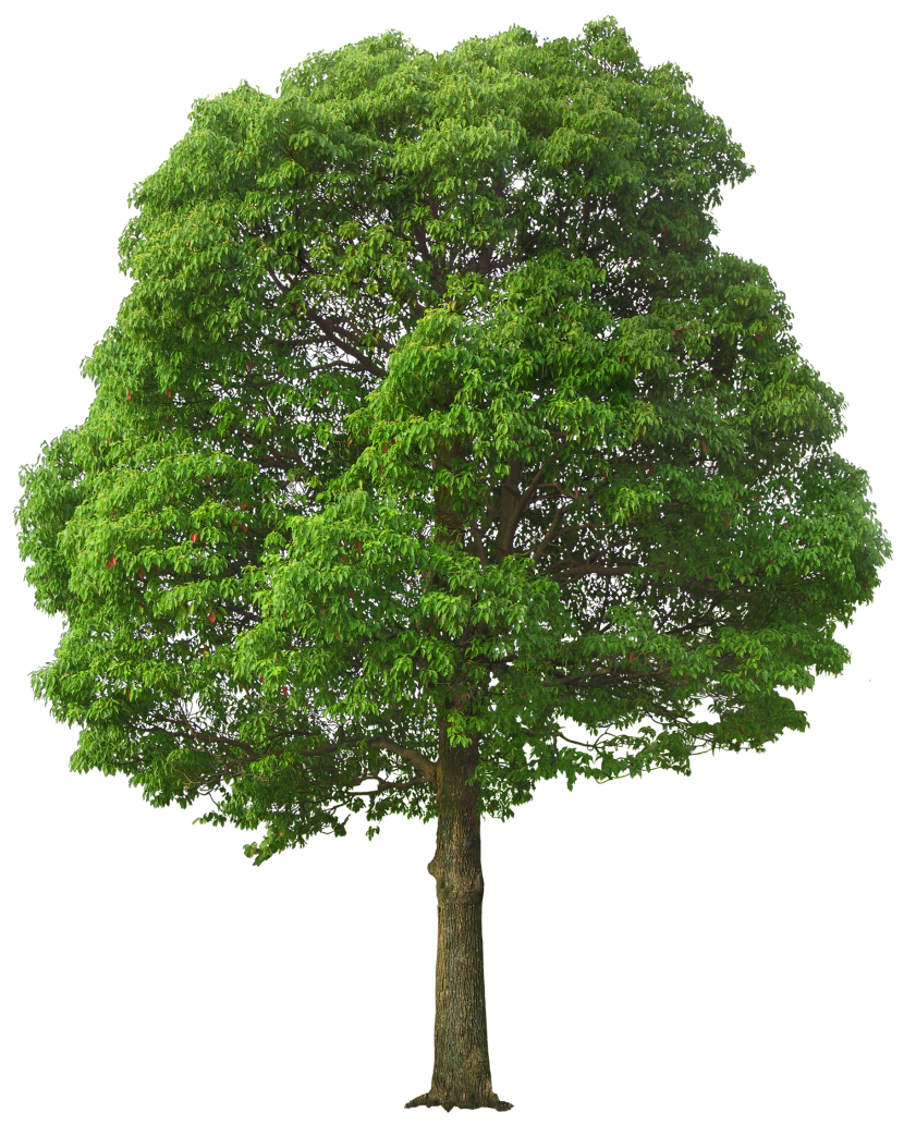 Click here to open the large image Testtt